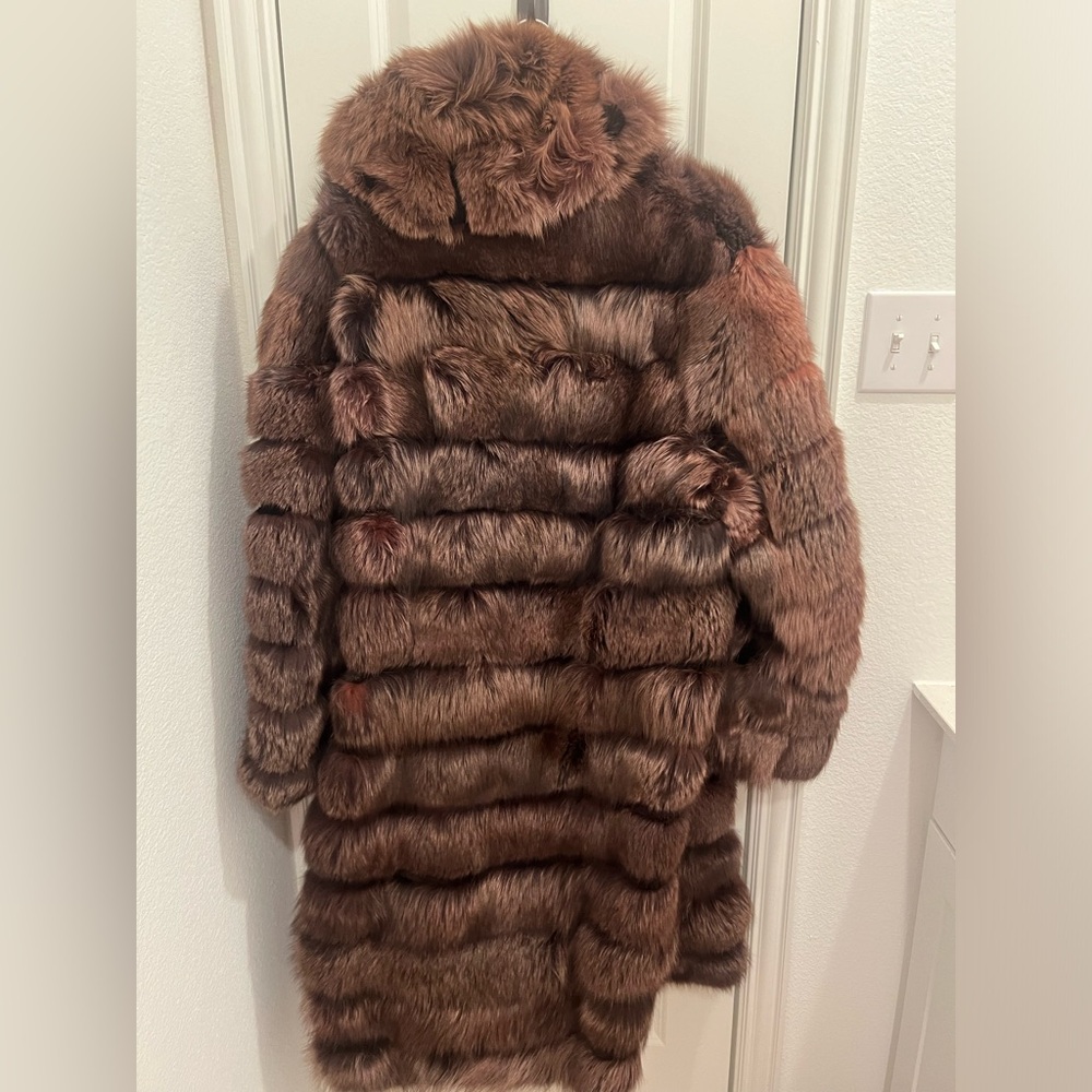 Beautiful “ REAL”brown fox with hood